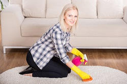 Commercial Carpet Cleaner in Highbury, N1