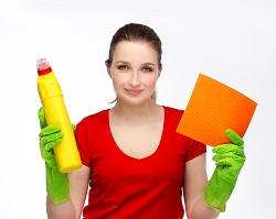 Domestic House Cleaners in Highbury, N5