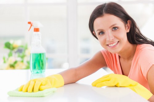 Deep cleaning process in a bright modern living space