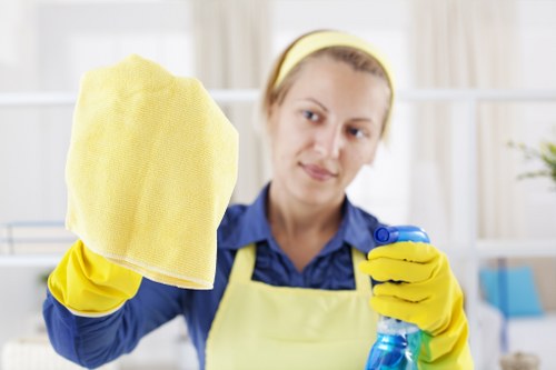 Bathroom move in cleaning with sanitized fixtures