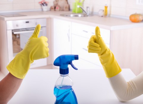 Professional domestic cleaning in a modern living room