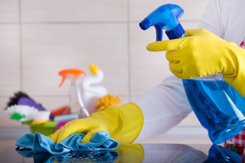 Essential tools for domestic cleaning on a cleaning cart