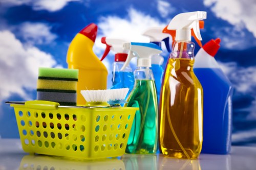 House cleaning essentials in a bright living room