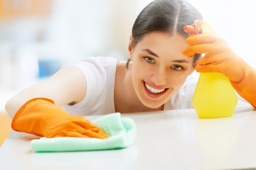 Tools used for mattress cleaning and stain removal