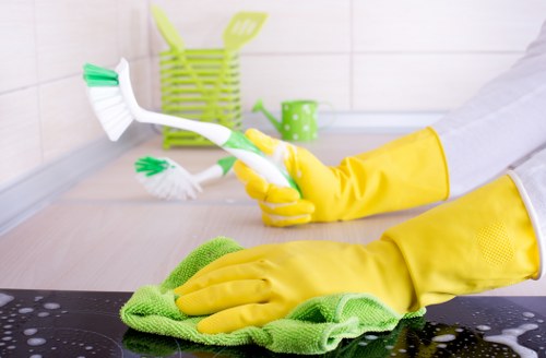 Highbury cleaning routine with organized cleaning supplies