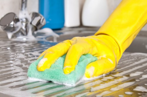 Kitchen domestic cleaning routine with organized surfaces