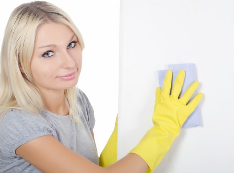 Pet-friendly carpet cleaning and odor removal treatment